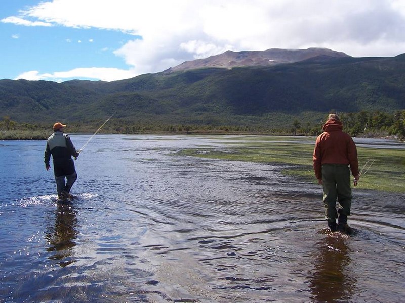 Fotografía 13 de Tours y Excursiones en Patagonia  en Punta Arenas, Magallanes