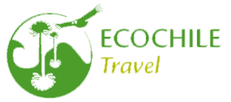 Ecochile Travel en Providencia, Metropolitana