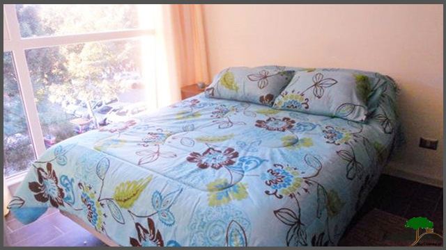 Fotografía 3 de Apartamento amoblado 3 Personas en Temuco, Araucania