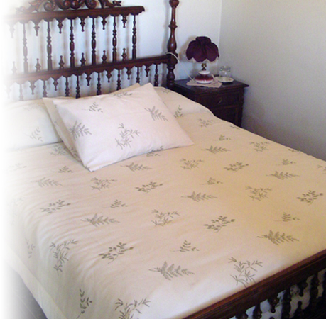 Fotografía 6 de Hostal del Puente en Talca, Maule