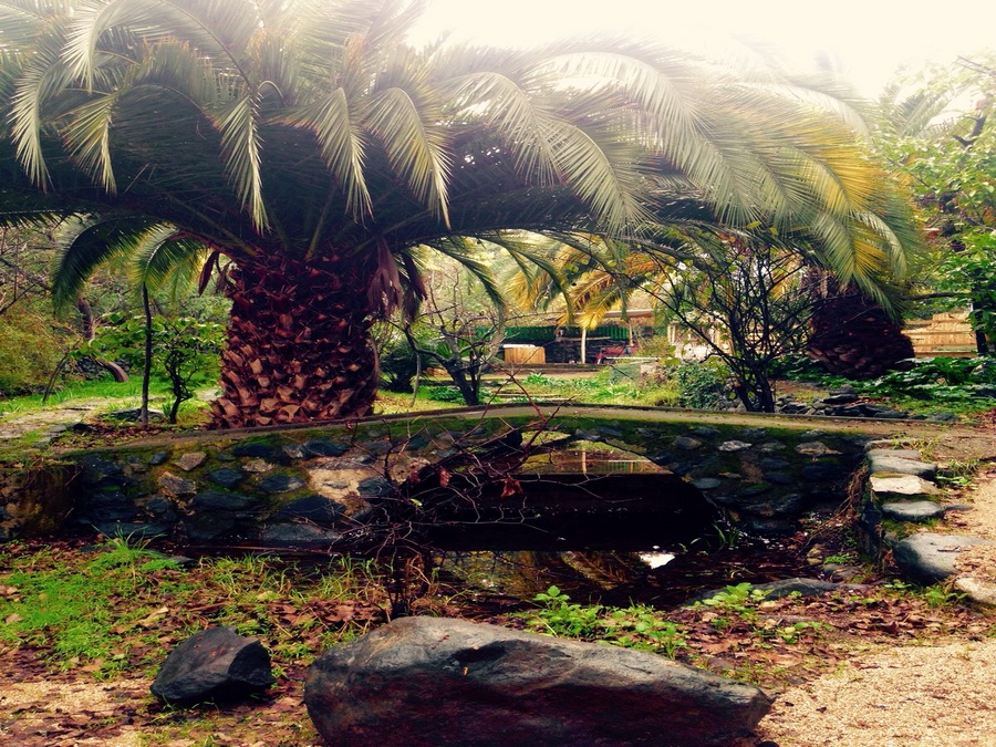 Fotografía 7 de Cabañas Rancho el Trebol en Olmue, Valparaiso