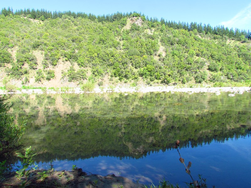 Fotografía 2 de Camping aguas Cílidas en Linares, Maule