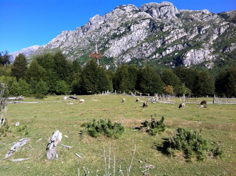 Fotografía 10 de Cabañas el Maiten en Futaleufu, Los Lagos
