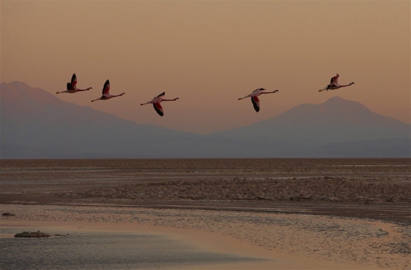 Fotografía 3 de Tierra Atacama en San Pedro De Atacama, Antofagasta
