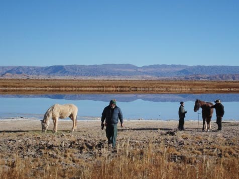 Fotografía 2 de Cabalgatas Rancho Cactus en San Pedro De Atacama, Antofagasta