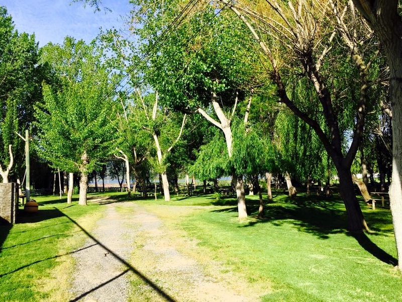 Fotografía 8 de Camping Pantanal de Paine en Paine, Metropolitana