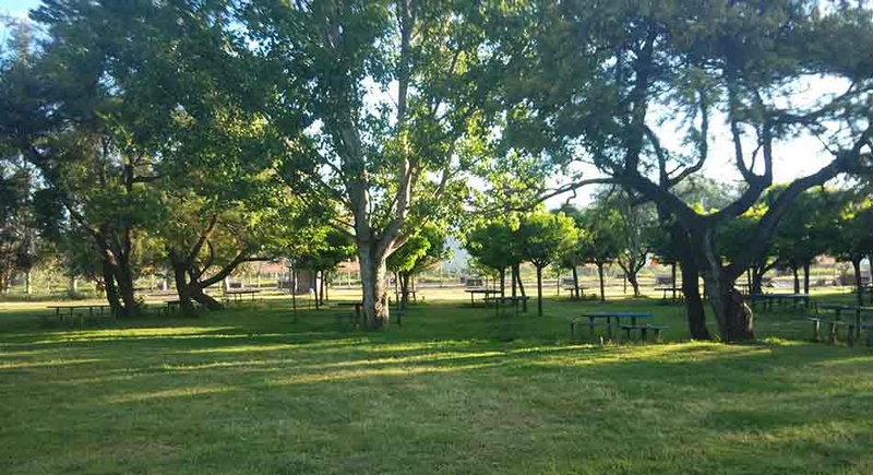 Fotografía 11 de Camping Millantu en Isla de Maipo en Isla De Maipo, Metropolitana