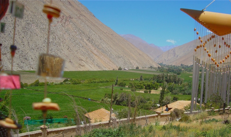 Fotografía 10 de Cabañas en Pisco Elqui en La Serena, Coquimbo