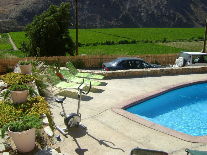 Fotografía 9 de Cabañas en Pisco Elqui en La Serena, Coquimbo