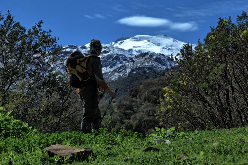 Fotografía 2 de Expedición Cerro Plomo en Providencia, Metropolitana