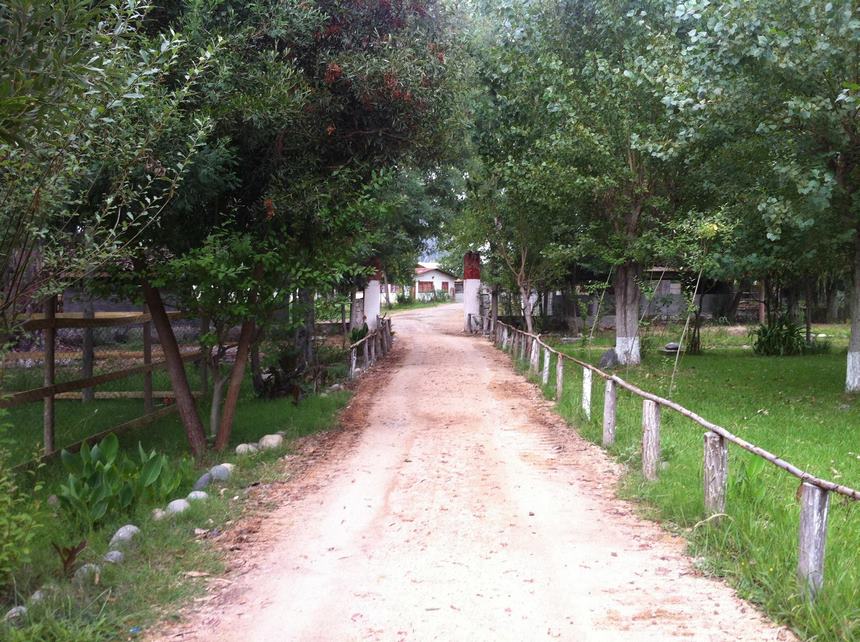 Fotografía 2 de Camping La Poza Panimavida, Piscina Agua Termal en Colbun, Maule