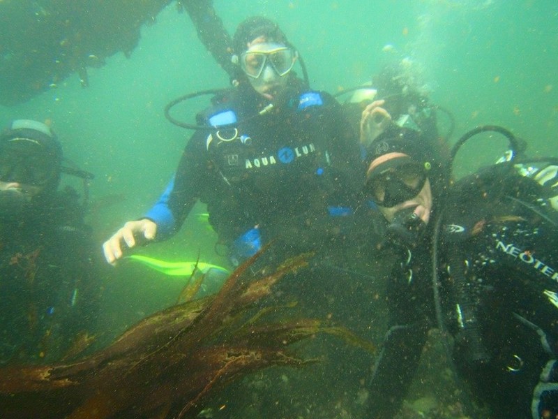 Fotografía 14 de Buceo en Iquique en Iquique, Tarapaca
