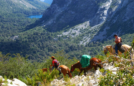 Fotografía 3 de Cabalgatas sur de chile en Coihueco, Bio Bio