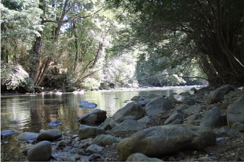 Fotografía 9 de Camping en la Araucanía en Pucon, Araucania