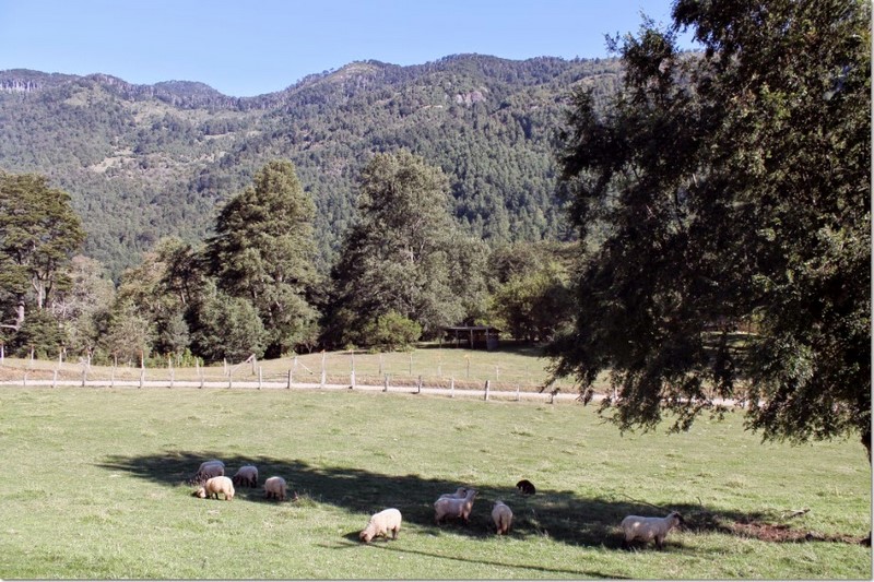 Fotografía 11 de Camping en la Araucanía en Pucon, Araucania