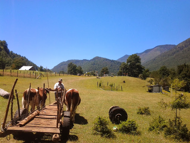 Fotografía 4 de Camping en la Araucanía en Pucon, Araucania
