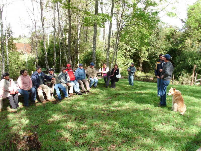 Fotografía 5 de Experiencia Diferente En La Araucanía en Teodoro Schmidt, Araucania