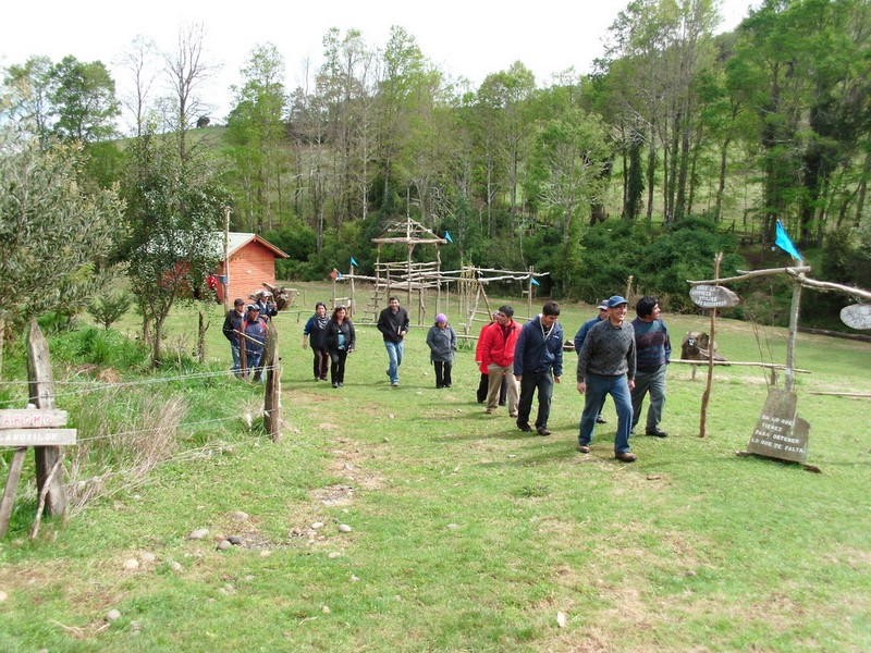 Fotografía 7 de Experiencia Diferente En La Araucanía en Teodoro Schmidt, Araucania