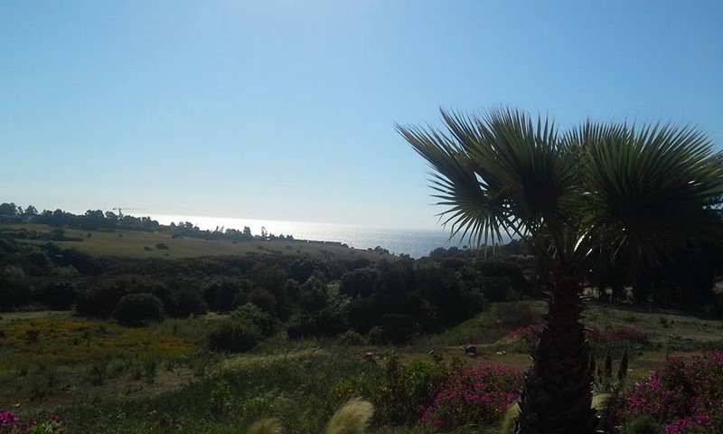 Fotografía 3 de Aparthotel Maitencillo Strandvagen en Zapallar, Valparaiso
