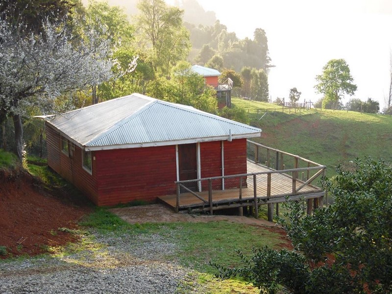 Fotografía 8 de Circuito Lago Lleu Lleu- Lanalhue en Contulmo, Bio Bio
