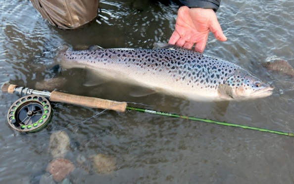 Fotografía 3 de Pesca con mosca en Coyhaique en Coyhaique, Aysen