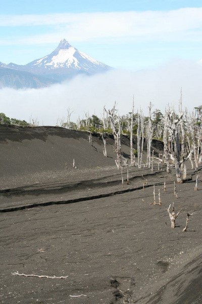 Fotografía 3 de Montañismo en Lago Rupanco en Puerto Octay, Los Lagos