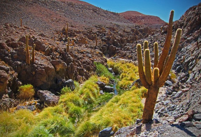 Fotografía 9 de San Pedro de Atacama Servicio de Tours en San Pedro De Atacama, Antofagasta