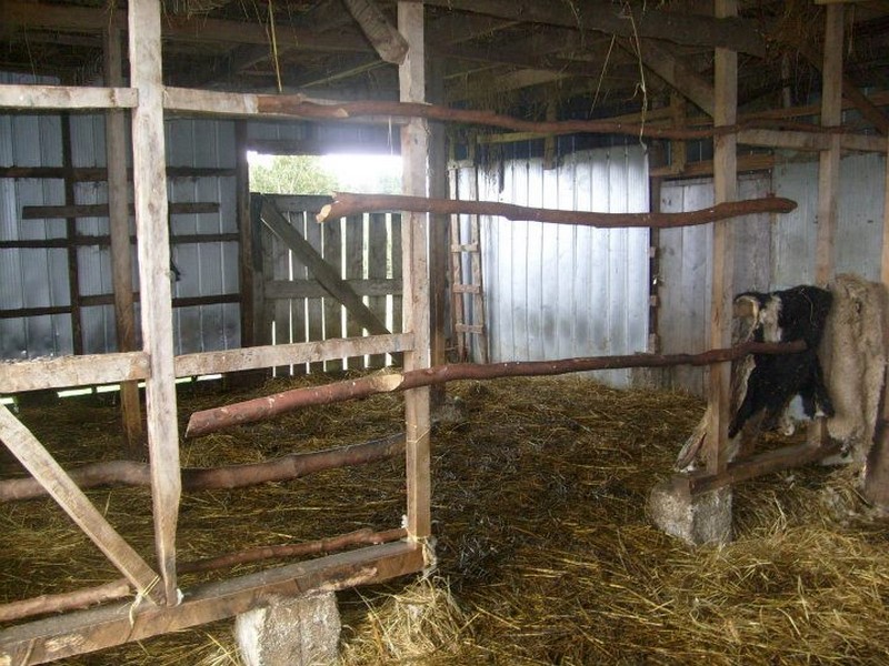 Fotografía 6 de Turismo Rural en Región de Los Lagos en Puerto Montt, Los Lagos