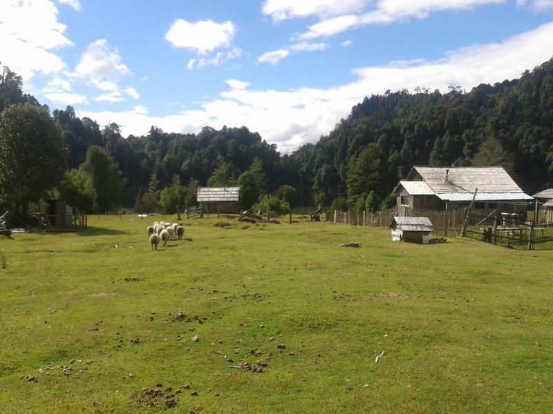 Fotografía 11 de Servicio turismo rural en Puerto Octay, Los Lagos