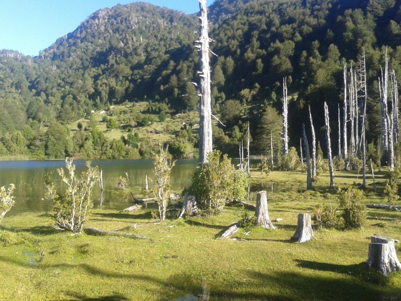 Fotografía 12 de Servicio turismo rural en Puerto Octay, Los Lagos