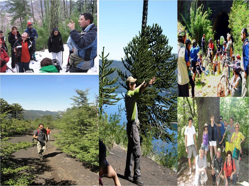 Ecoturismo en Curacautin en Curacautin, Araucania