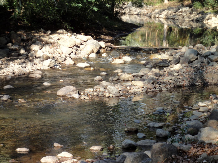 Fotografía 11 de Camping Sol y Sombra en Colbun, Maule