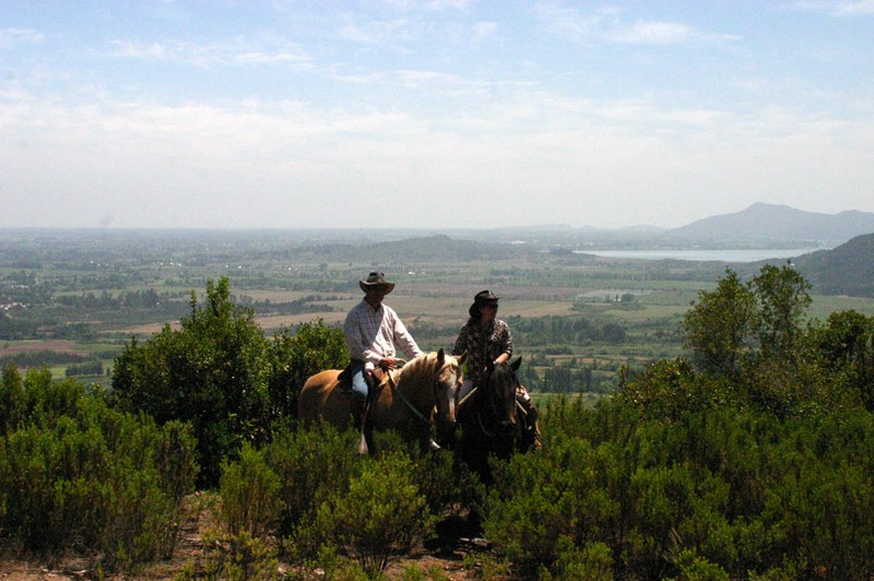 Fotografía 20 de Camping Sol y Sombra en Colbun, Maule