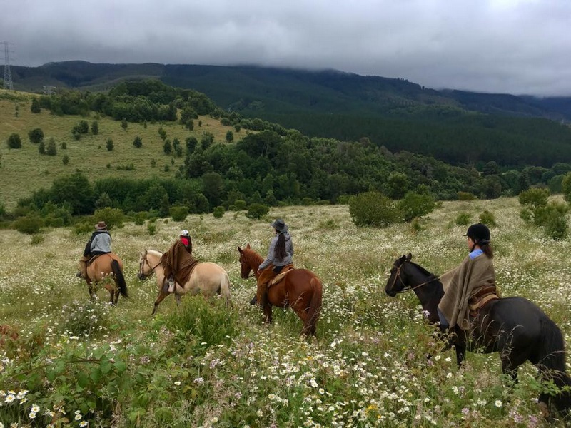 Fotografía 11 de Cabalgatas en Temuco en Temuco, Araucania