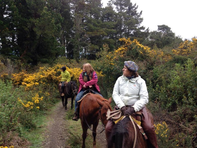 Fotografía 5 de Cabalgatas en Temuco en Temuco, Araucania