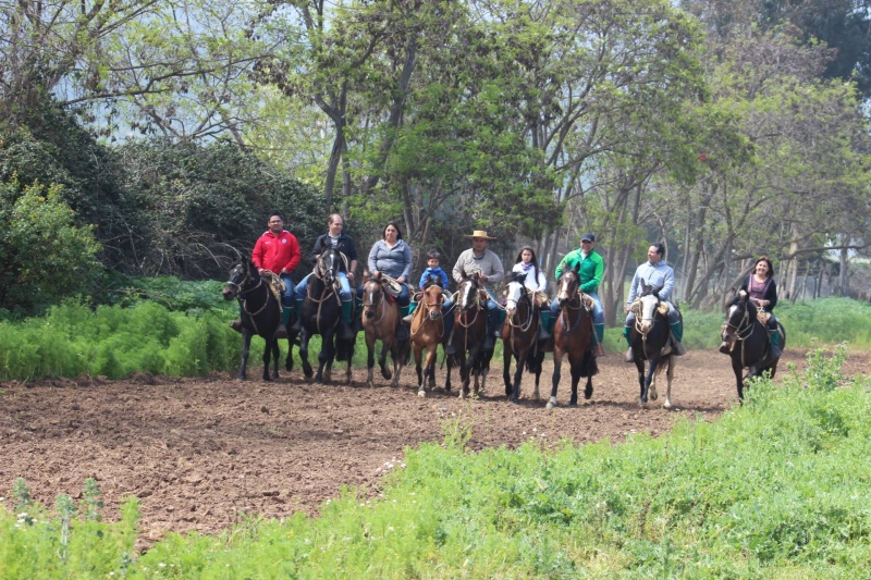 Fotografía 2 de Cabalgatas en Parque Nacional La Campana en Olmue, Valparaiso