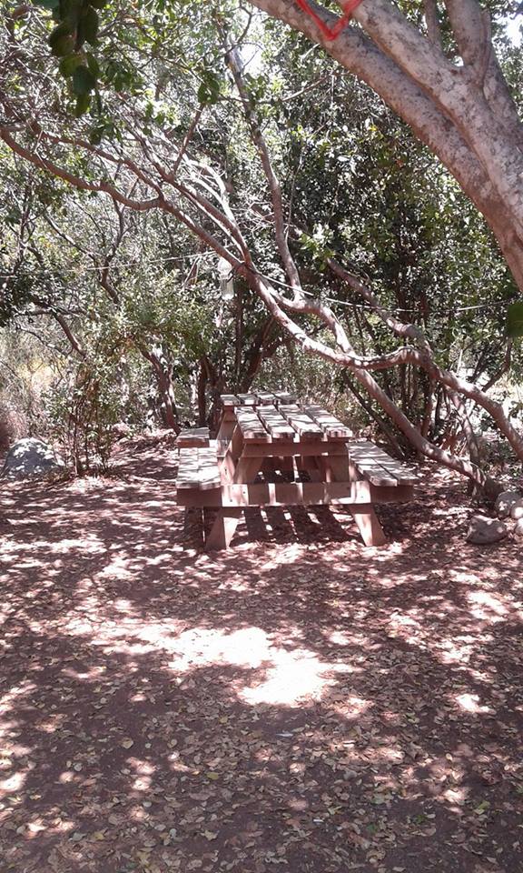 Fotografía 3 de Ven a disfrutar de la naturaleza y fauna nativa, sera una experincia unica en San Clemente, Maule