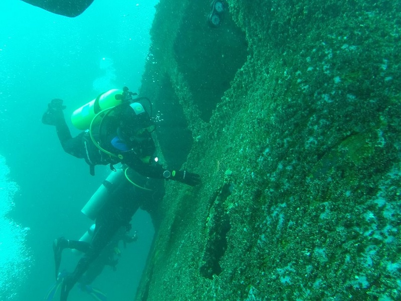 Fotografía 18 de Buceo Bahia Inglesa en Caldera, Atacama