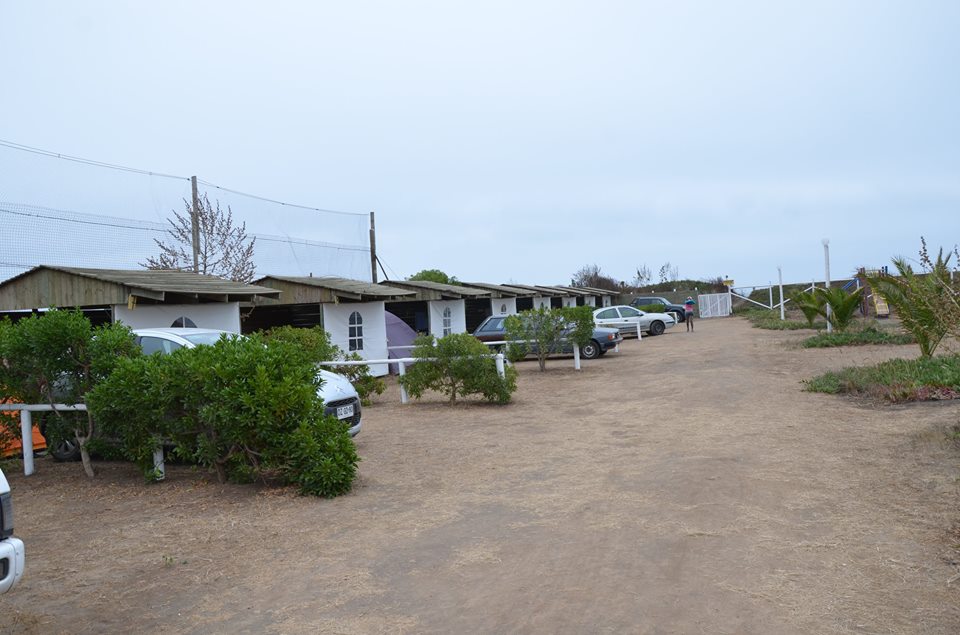 Fotografía 18 de Camping familiar privado en playas de Iloca, Curico, Talca, región del Maule en Licanten, Maule