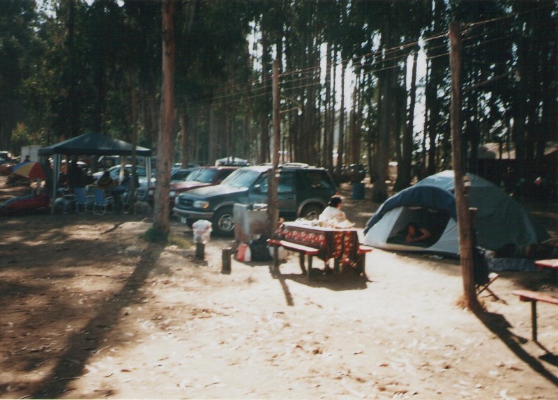 Fotografía 5 de Camping Parque La Victoria en Concon, Valparaiso