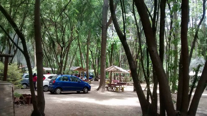 Fotografía 3 de Piscinas (niños, adultos) camping, eventos y cabañas en Coltauco en Coltauco, Ohiggins