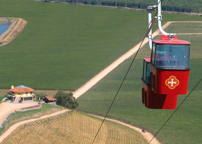 Fotografía 16 de Tours de Vinos en Santa Cruz, Ohiggins