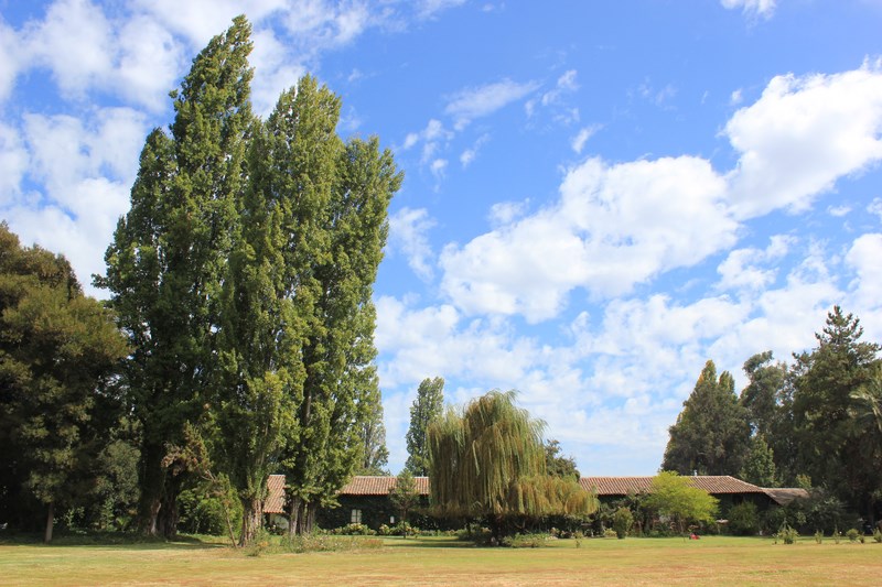 Fotografía 3 de Hotel Boutique y Actividades Outdoor en Teno, Maule