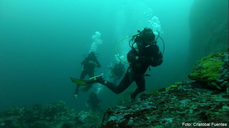 Fotografía 6 de Buceo Pichidangui en Los Vilos, Coquimbo