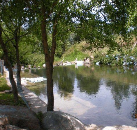 Fotografía 7 de Servicio de Camping y Piscinas en San Fernando en San Fernando, Ohiggins