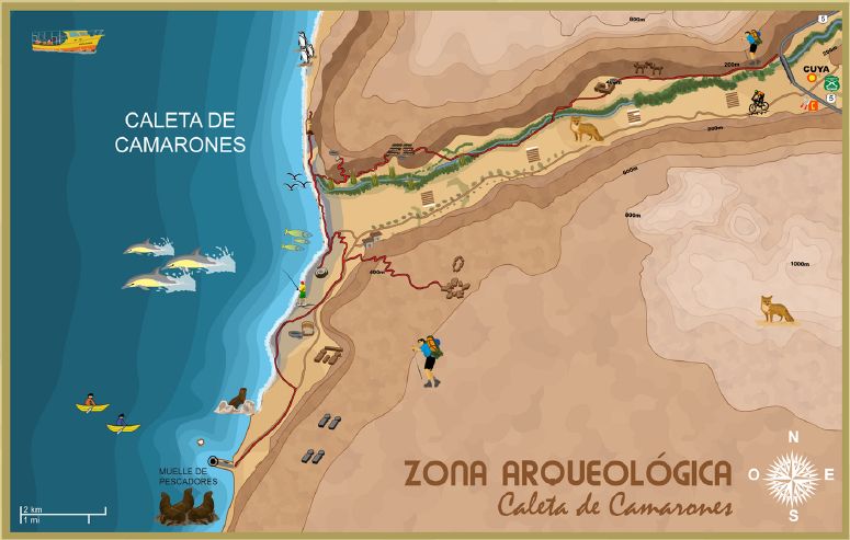 Pelagic Trips Chile en Arica, Arica Y Parinacota