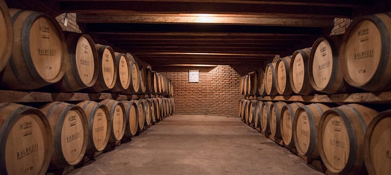Viña Balduzzi en San Javier, Maule