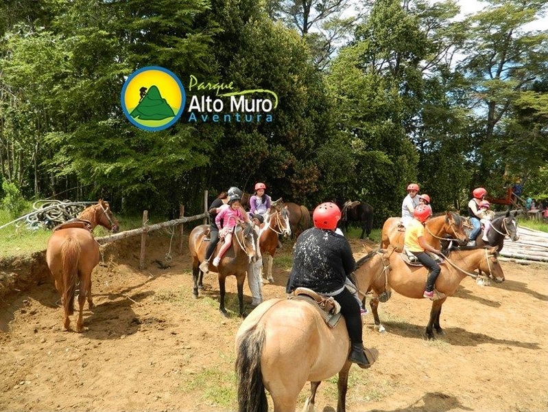 Fotografía 9 de Cabalgatas en Chiloe en Castro, Los Lagos
