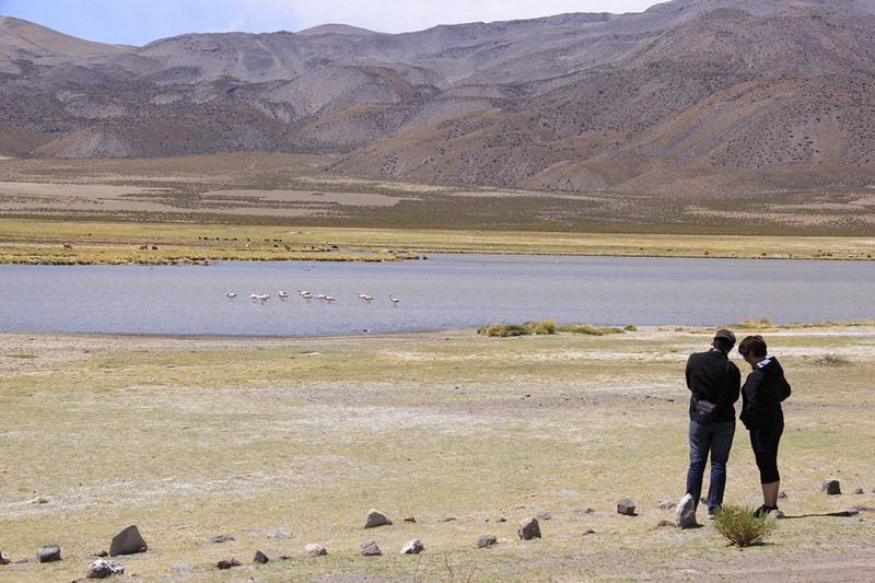 Fotografía 15 de Magical Tour Chile, Turismo en Iquique en Iquique, Tarapaca