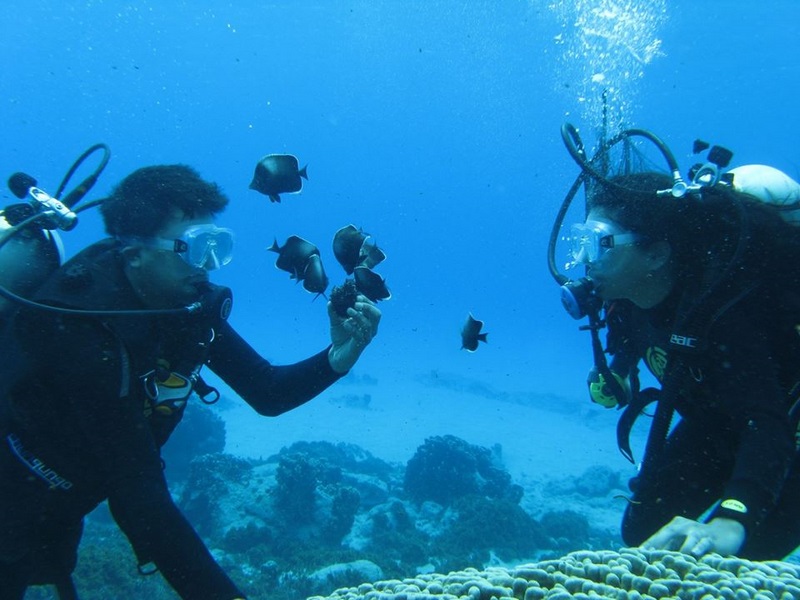 Snorkeling y buceo personalizado en Rapa Nui en Isla De Pascua, Valparaiso